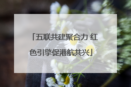 五联共建聚合力 红色引擎促港航共兴