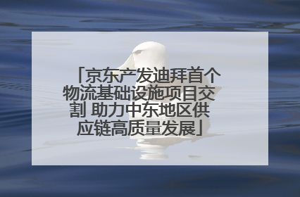 京东产发迪拜首个物流基础设施项目交割 助力中东地区供应链高质量发展
