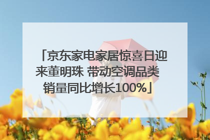 京东家电家居惊喜日迎来董明珠 带动空调品类销量同比增长100%