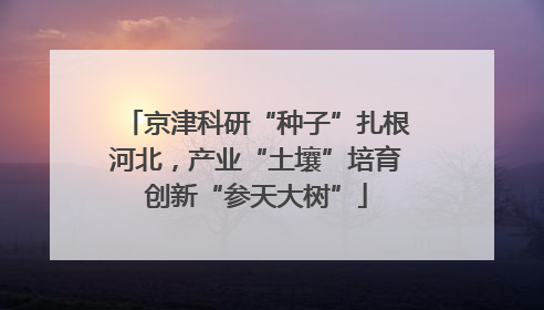 京津科研“种子”扎根河北，产业“土壤”培育创新“参天大树”