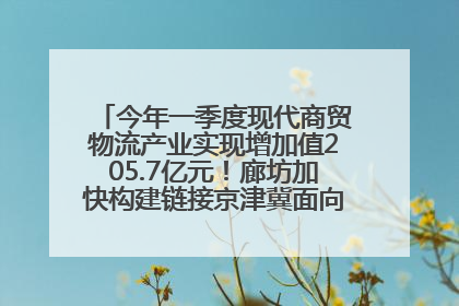 今年一季度现代商贸物流产业实现增加值205.7亿元！廊坊加快构建链接京津冀面向全世界的物流通道