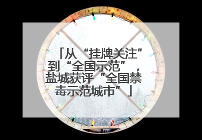 从“挂牌关注”到“全国示范”，盐城获评“全国禁毒示范城市”