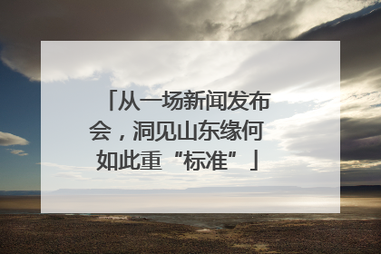 从一场新闻发布会，洞见山东缘何如此重“标准”