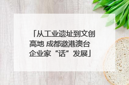 从工业遗址到文创高地 成都邀港澳台企业家“话”发展