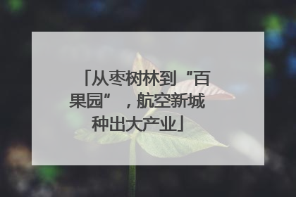 从枣树林到“百果园”，航空新城种出大产业