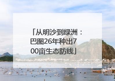 从明沙到绿洲：巴图26年种出700亩生态防线
