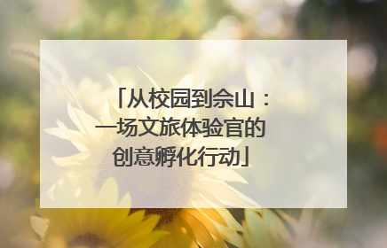 从校园到佘山：一场文旅体验官的创意孵化行动