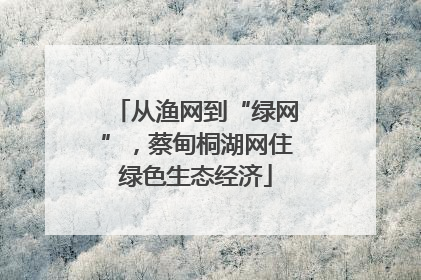 从渔网到“绿网”，蔡甸桐湖网住绿色生态经济