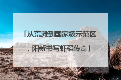 从荒滩到国家级示范区，阳新书写虾稻传奇
