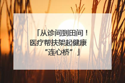 从诊间到田间！医疗帮扶架起健康“连心桥”
