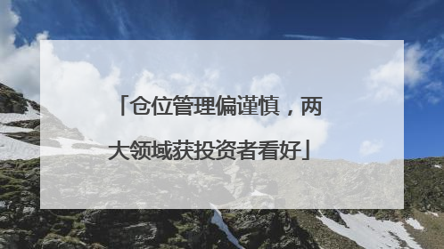 仓位管理偏谨慎，两大领域获投资者看好