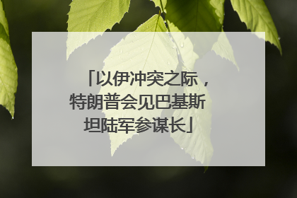 以伊冲突之际，特朗普会见巴基斯坦陆军参谋长