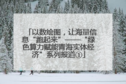 以数绘图，让海量信息“跑起来”——“绿色算力赋能青海实体经济”系列报道①