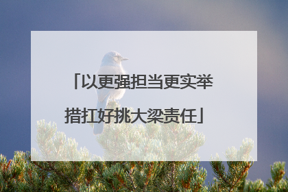 以更强担当更实举措扛好挑大梁责任