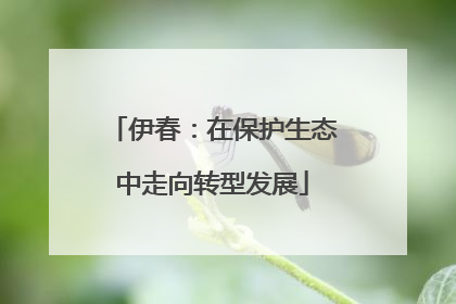伊春：在保护生态中走向转型发展