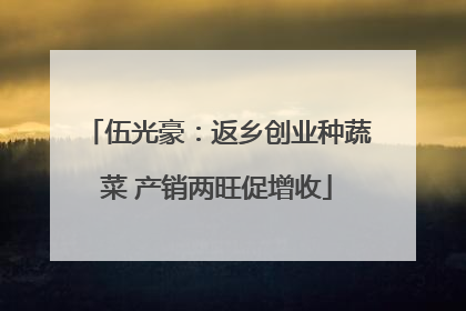伍光豪：返乡创业种蔬菜 产销两旺促增收