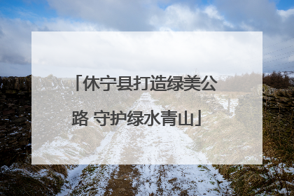 休宁县打造绿美公路 守护绿水青山