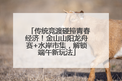 传统竞渡碰撞青春经济！金山山阳龙舟赛+水岸市集，解锁端午新玩法