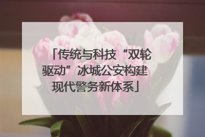 传统与科技“双轮驱动”冰城公安构建现代警务新体系