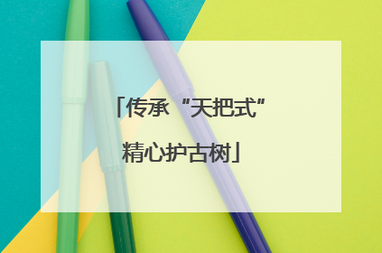 传承“天把式” 精心护古树