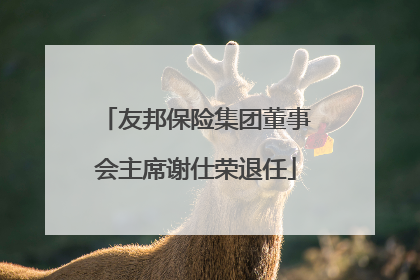 友邦保险集团董事会主席谢仕荣退任