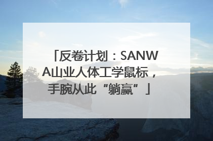 反卷计划：SANWA山业人体工学鼠标，手腕从此“躺赢”
