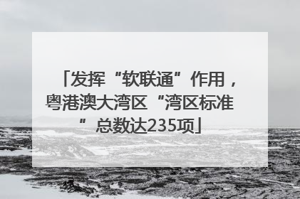 发挥“软联通”作用，粤港澳大湾区“湾区标准”总数达235项