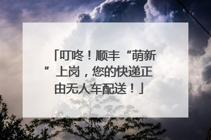 叮咚！顺丰“萌新”上岗，您的快递正由无人车配送！