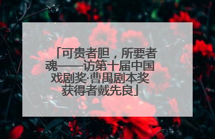 可贵者胆，所要者魂——访第十届中国戏剧奖·曹禺剧本奖获得者戴先良