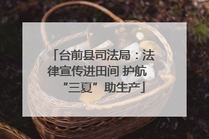台前县司法局：法律宣传进田间 护航“三夏”助生产