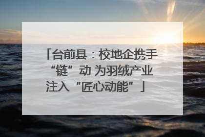 台前县：校地企携手“链”动 为羽绒产业注入“匠心动能”