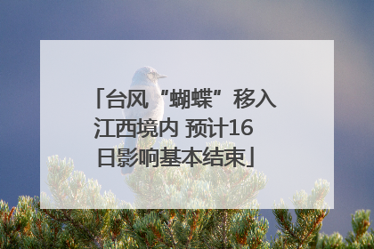 台风“蝴蝶”移入江西境内 预计16日影响基本结束