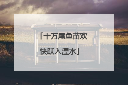 十万尾鱼苗欢快跃入湟水