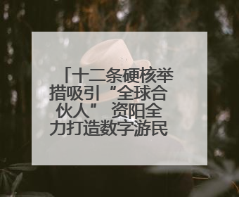 十二条硬核举措吸引“全球合伙人” 资阳全力打造数字游民友好型城市