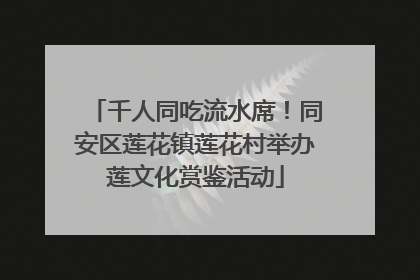 千人同吃流水席！同安区莲花镇莲花村举办莲文化赏鉴活动
