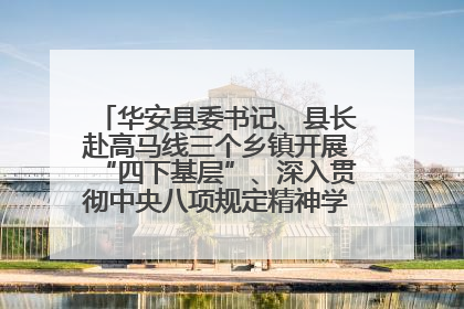 华安县委书记、县长赴高马线三个乡镇开展“四下基层”、深入贯彻中央八项规定精神学习教育工作调研