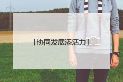 协同发展添活力