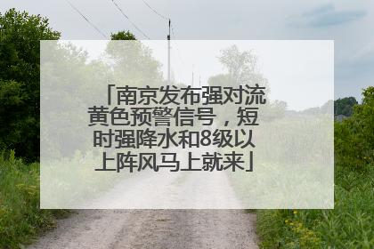 南京发布强对流黄色预警信号，短时强降水和8级以上阵风马上就来