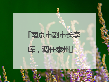 南京市副市长李晖，调任泰州