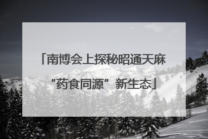 南博会上探秘昭通天麻“药食同源”新生态