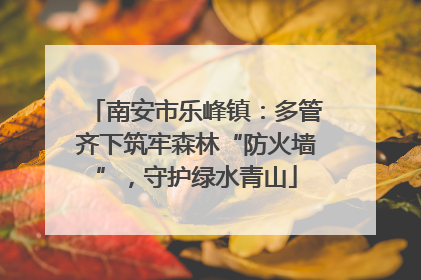 南安市乐峰镇：多管齐下筑牢森林“防火墙”，守护绿水青山