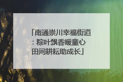 南通崇川幸福街道：粽叶飘香暖童心 田间耕耘助成长