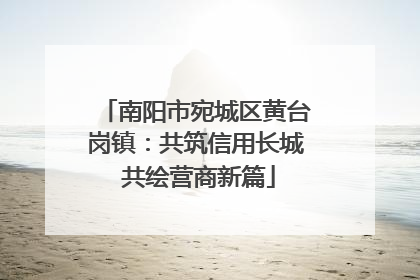 南阳市宛城区黄台岗镇：共筑信用长城 共绘营商新篇