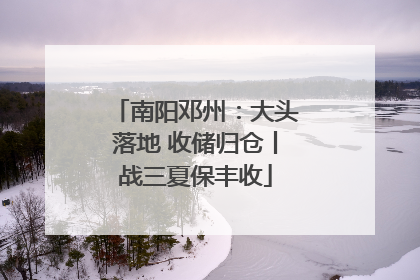 南阳邓州：大头落地 收储归仓丨战三夏保丰收