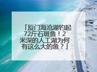 厦门海沧湖钓起72斤石斑鱼！2米深的人工湖为何有这么大的鱼？