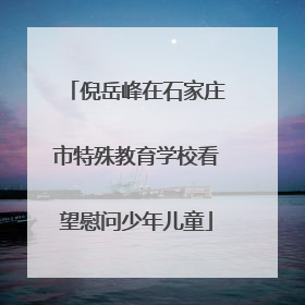 倪岳峰在石家庄市特殊教育学校看望慰问少年儿童