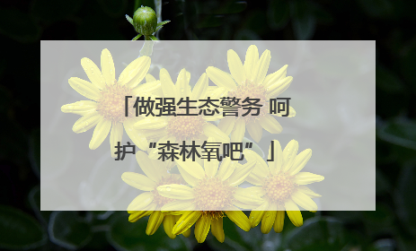 做强生态警务 呵护“森林氧吧”