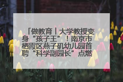 做教育︱大学教授变身“孩子王”！南京市栖霞区燕子矶幼儿园首聘“科学副园长”点燃萌娃科学梦