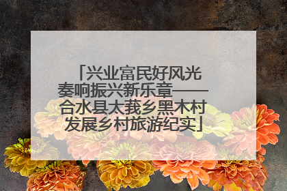 兴业富民好风光 奏响振兴新乐章——合水县太莪乡黑木村发展乡村旅游纪实