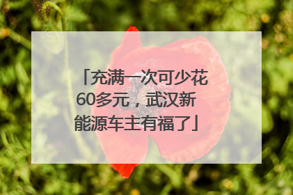 充满一次可少花60多元，武汉新能源车主有福了